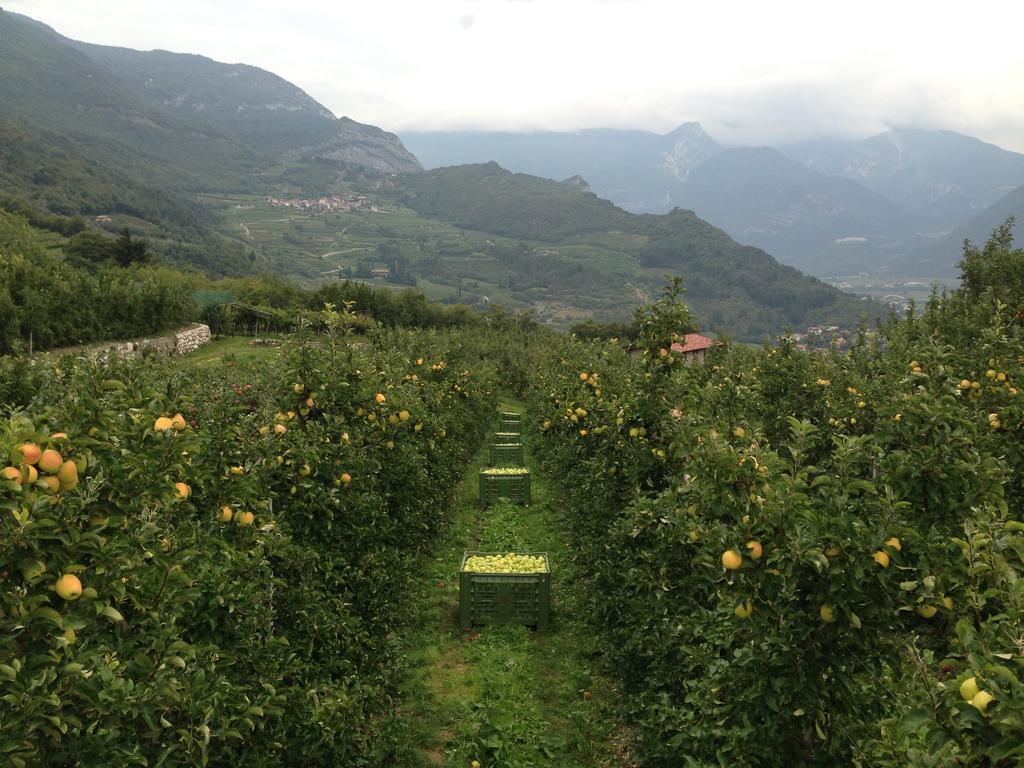 فندق Agritur Le Pergole Villa Lagarina المظهر الخارجي الصورة
