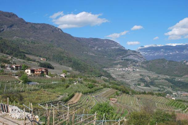 فندق Agritur Le Pergole Villa Lagarina المظهر الخارجي الصورة