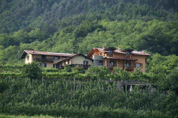 فندق Agritur Le Pergole Villa Lagarina المظهر الخارجي الصورة