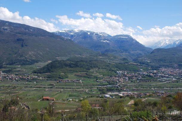 فندق Agritur Le Pergole Villa Lagarina المظهر الخارجي الصورة
